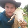 มูฮัมหมัดคอเล็บ แวสุหลง